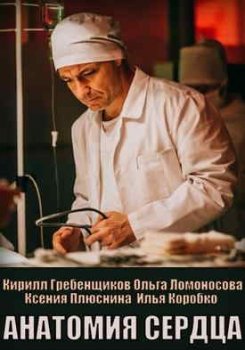 Анатомия сердца