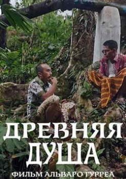 Древняя душа (2021)