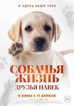 Собачья жизнь: Друзья навек