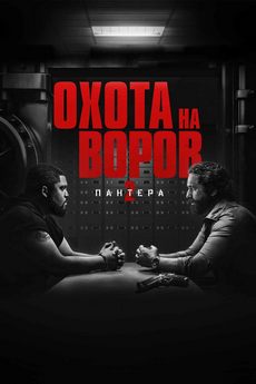Охота на воров 2: Пантера