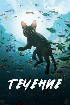 Течение