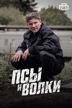 Псы и волки